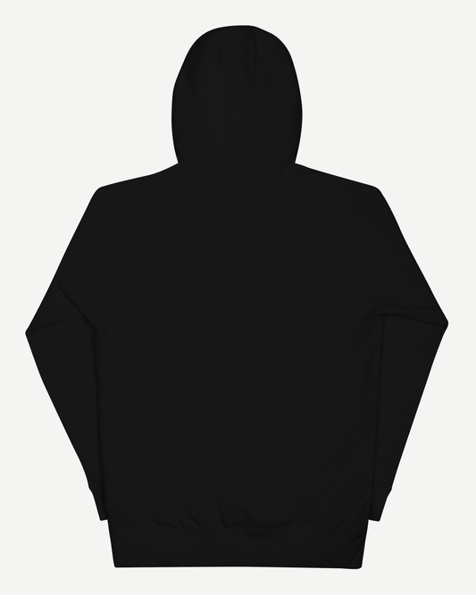 Back view of the Sterling Antonio black ring-spun cotton hoodie with a three-panel hood and ribbed cuffs and hem.